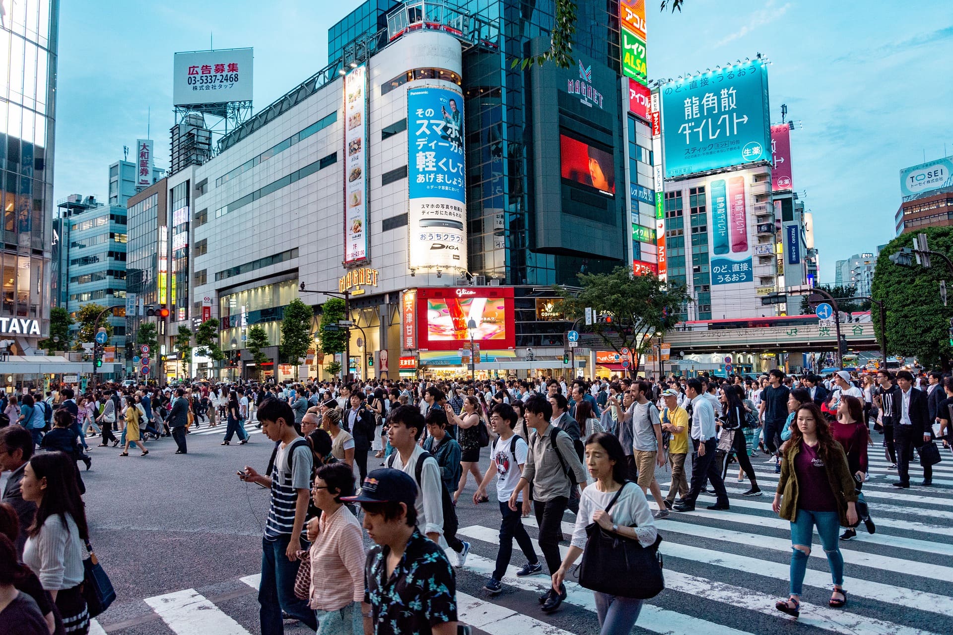 The main city in Japan, streets of Tokyo with his population, Golive Japan.